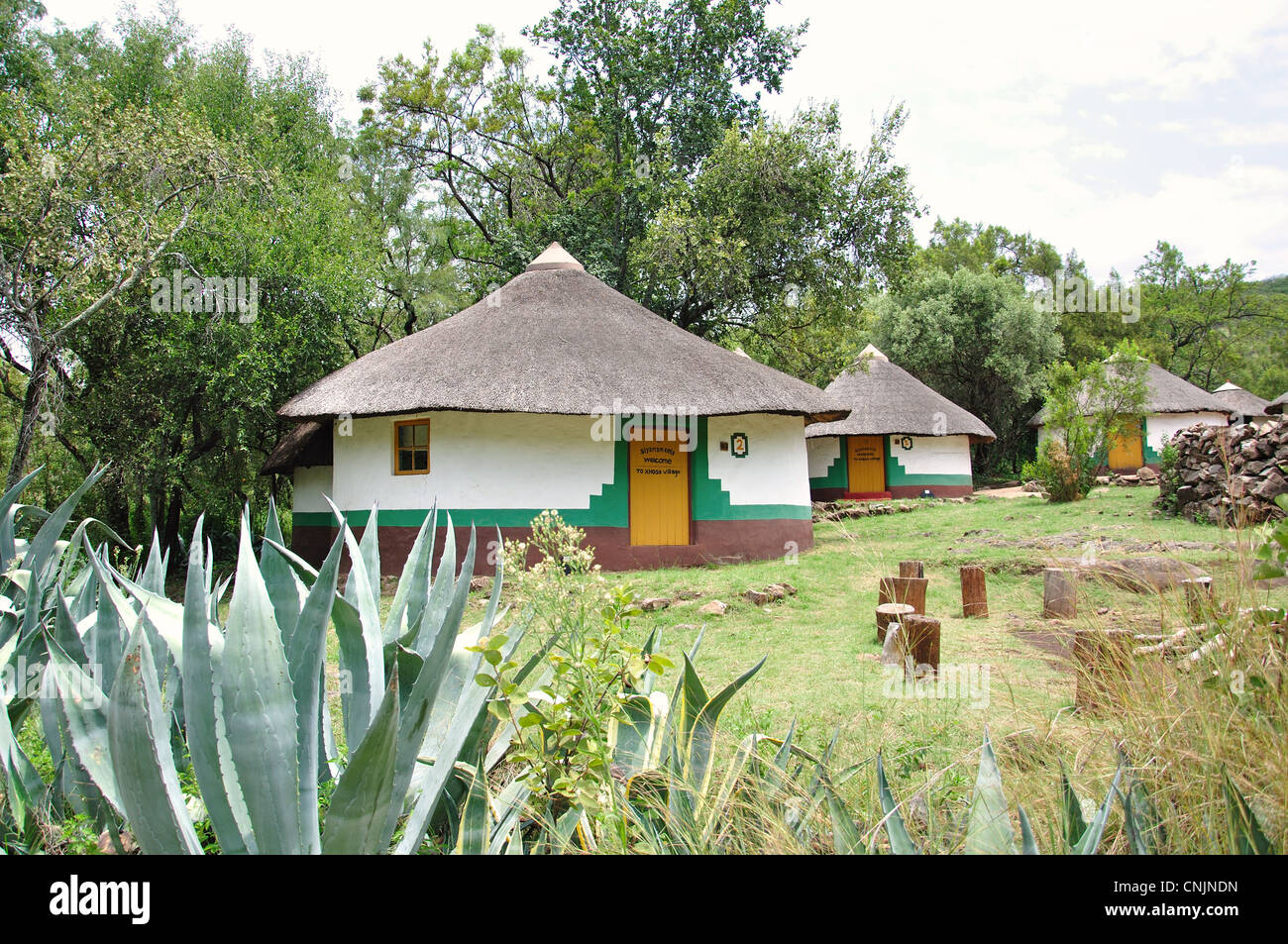 Village Xhosa, Lesedi Cultural Village africain, Broederstroom, Johannesburg, la Province de Gauteng, Afrique du Sud Banque D'Images