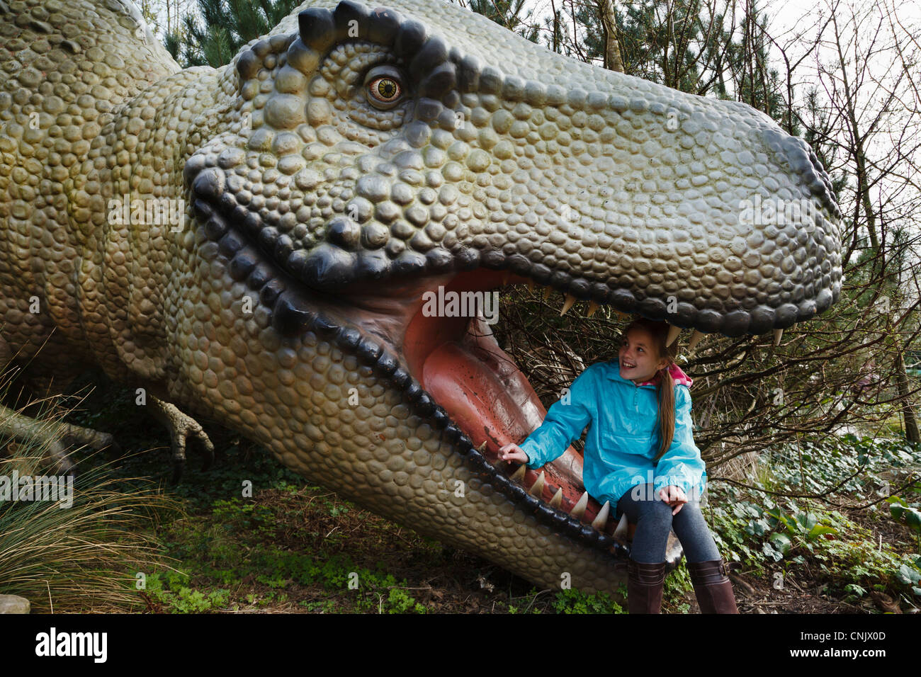 Fille assise dans la bouche de Tyrannosaurus rex dans le dinosaure à Blackpool Zoo Safari Banque D'Images