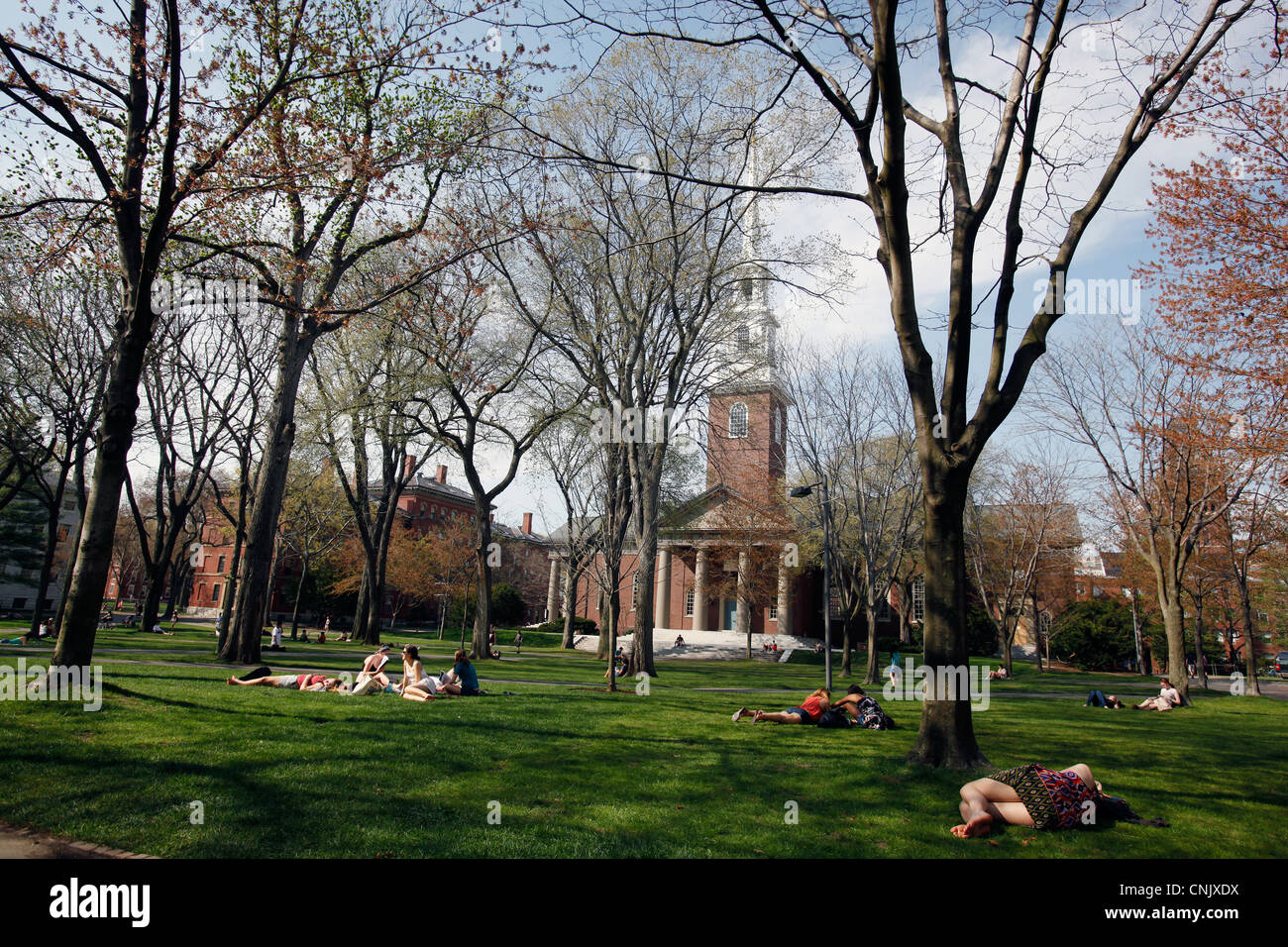 L'Université de Harvard, Harvard Yard, Memorial Church Banque D'Images