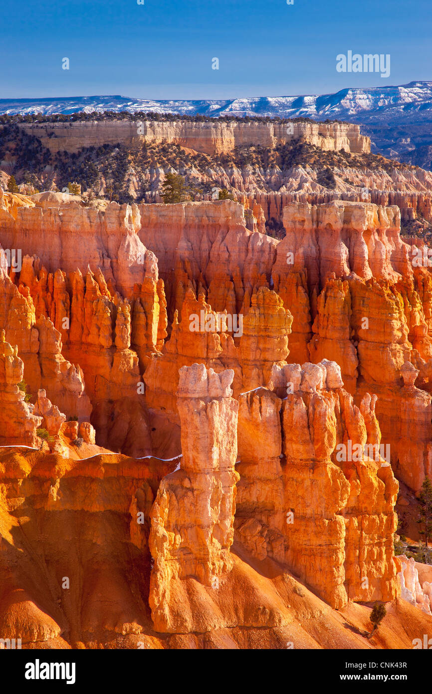 Tôt le matin jusqu'au coucher du soleil, Parc National de Bryce Canyon, Utah USA Banque D'Images