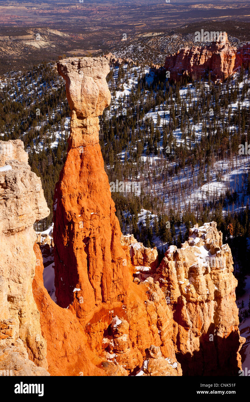 Rock formation - Hoodoo, dans Aqua Canyon, Bryce Canyon National Park, Utah USA Banque D'Images