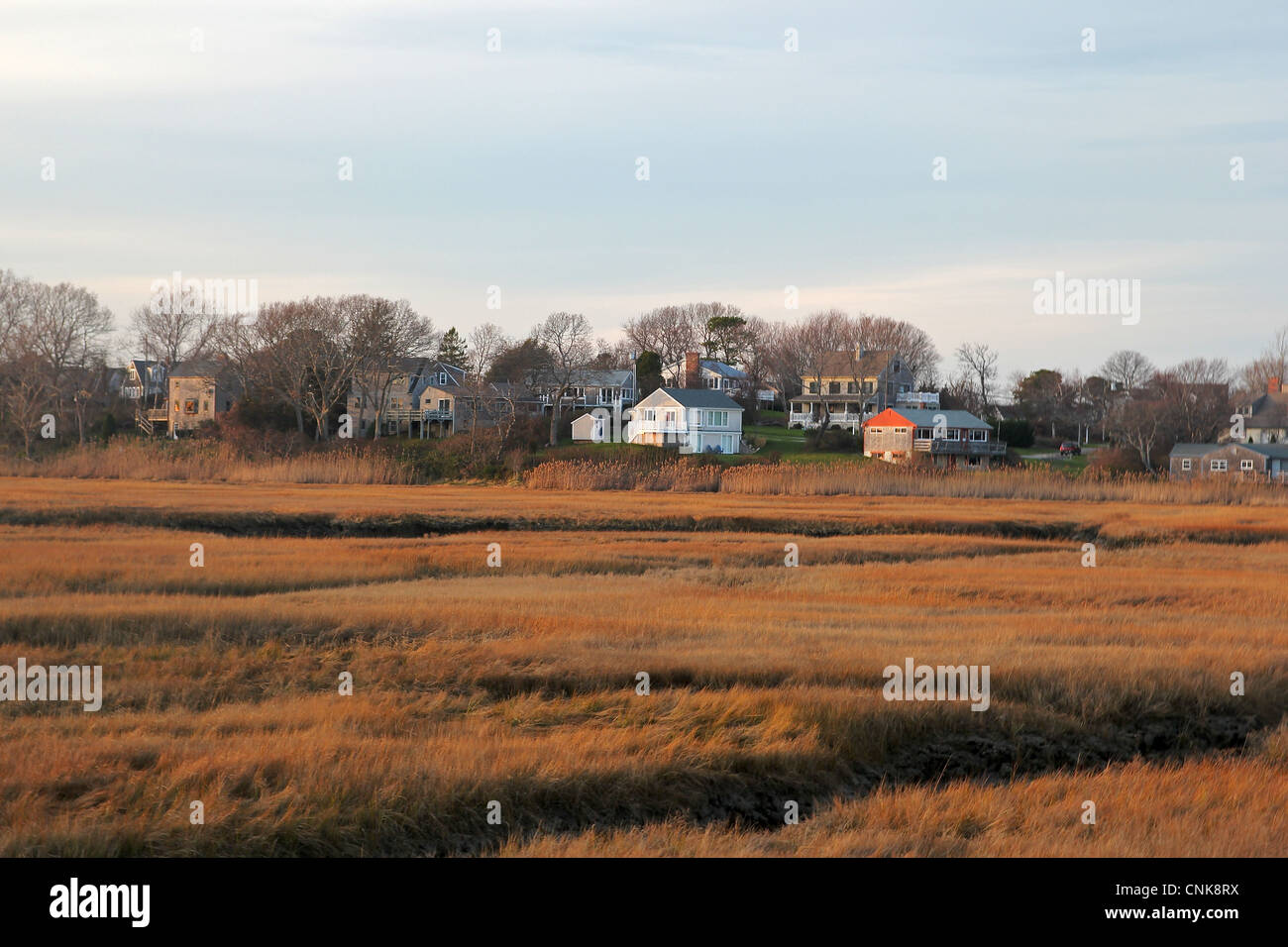 Une vue sur les maisons à travers le marais de la promenade de Sandwich en fin d'après-midi. Banque D'Images