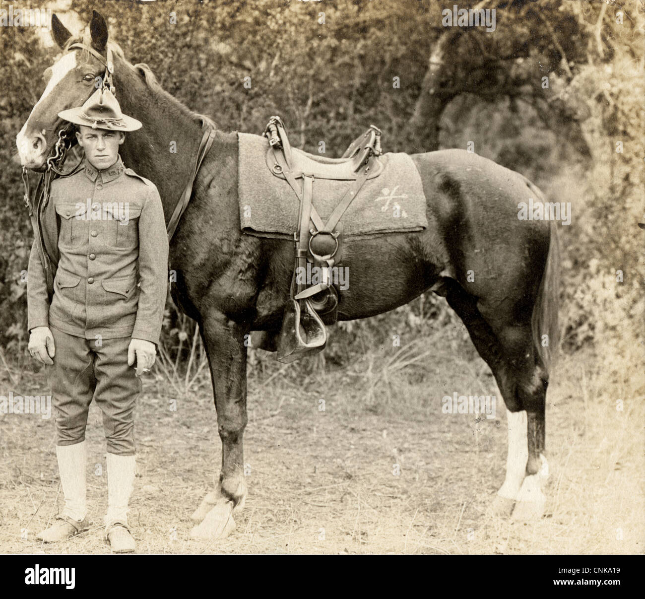 Soldat de cavalerie avec son cheval Banque D'Images