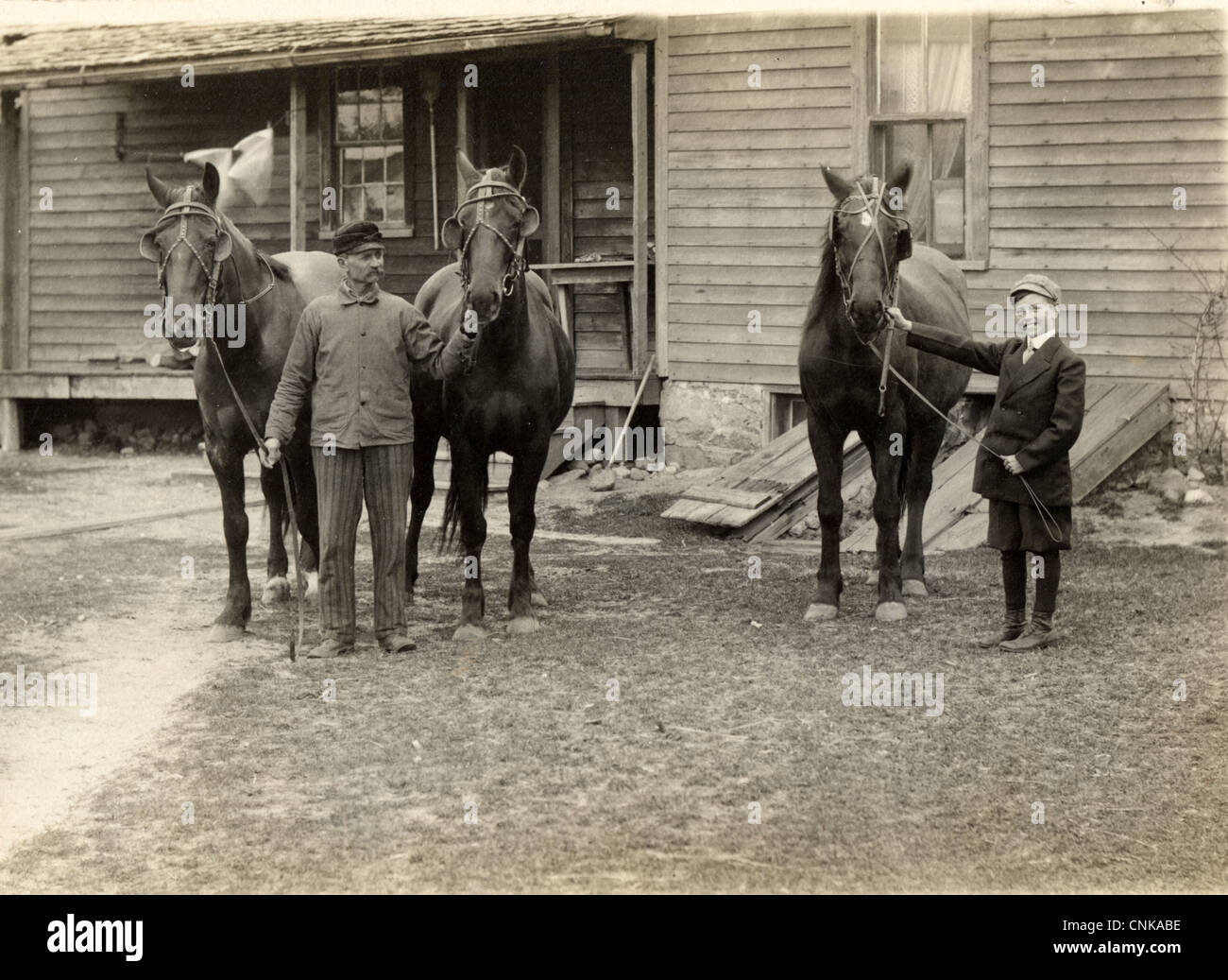 Père & Fils avec trois chevaux Banque D'Images