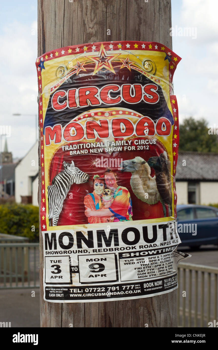 Affiche de cirque Mondao collé à un poteau téléphonique à Abergavenny, Monmouthshire au Pays de Galles au Royaume-Uni. Banque D'Images