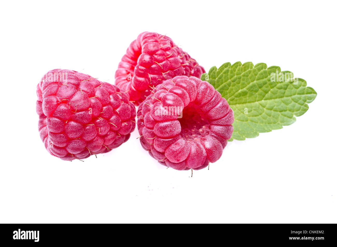 Les framboises avec beaucoup de couleurs de fond blanc Banque D'Images