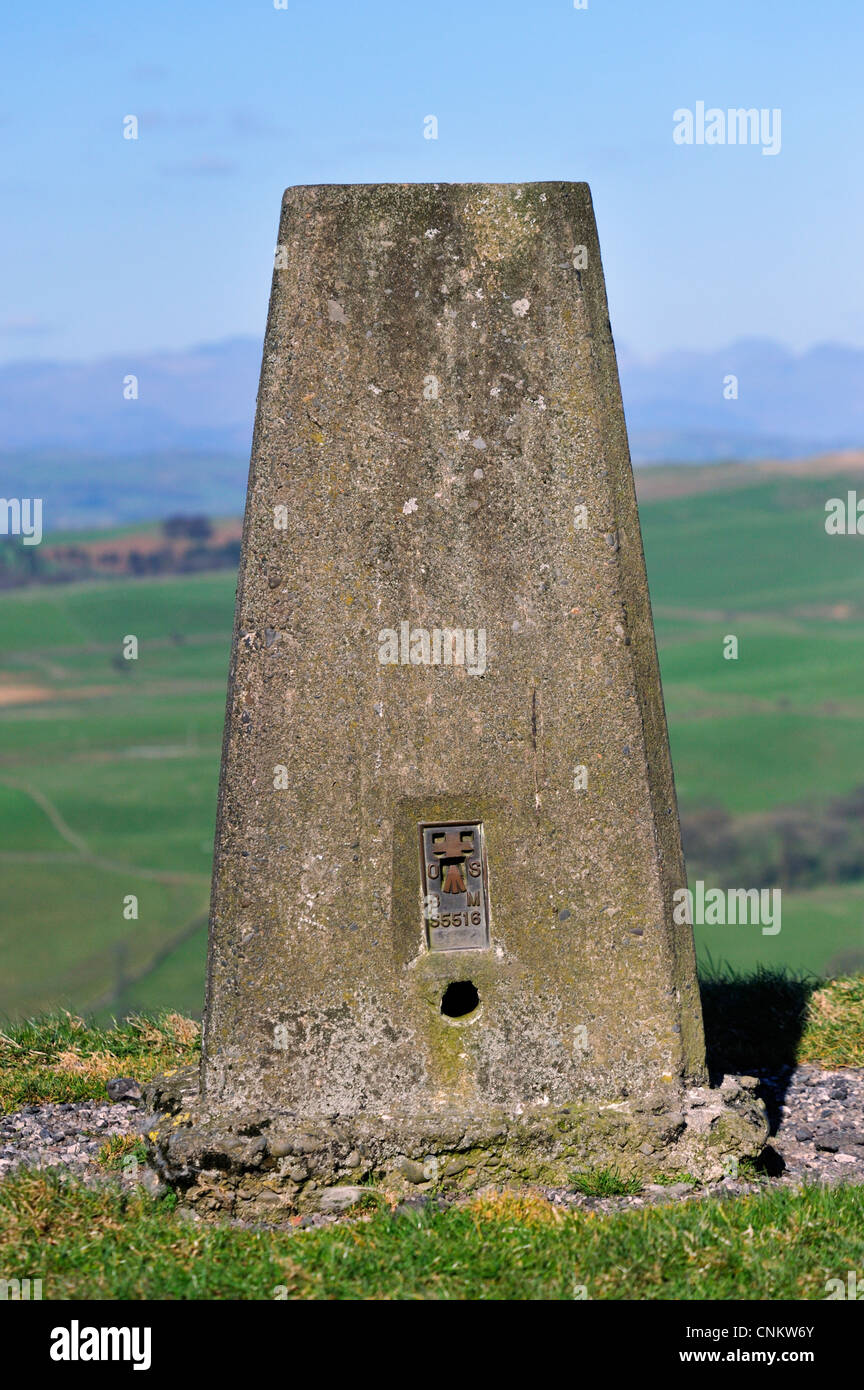 Trig point. L'Ordnance Survey Bench Mark S5516. Roan Edge, New Hutton, Cumbria, Angleterre, Royaume Uni Unioted, l'Europe. Banque D'Images