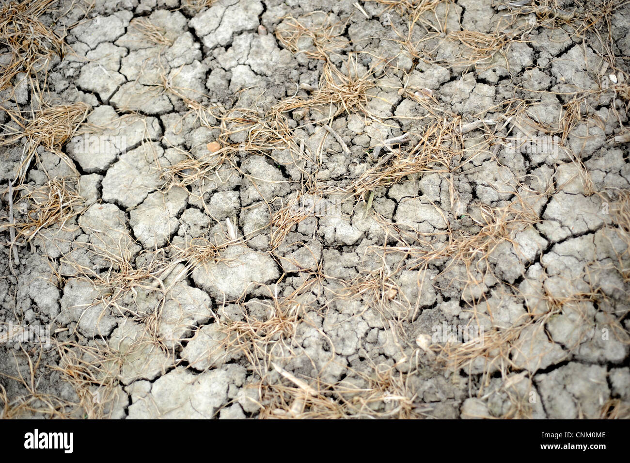 Au cours de la sécheresse de la terre craquelée en Angleterre, 2012 Banque D'Images