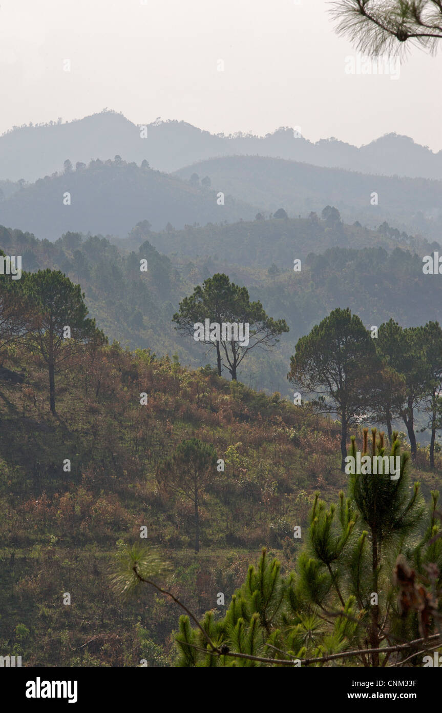 Campagne et collines entourant Kalaw, Birmanie. Myanmar Banque D'Images