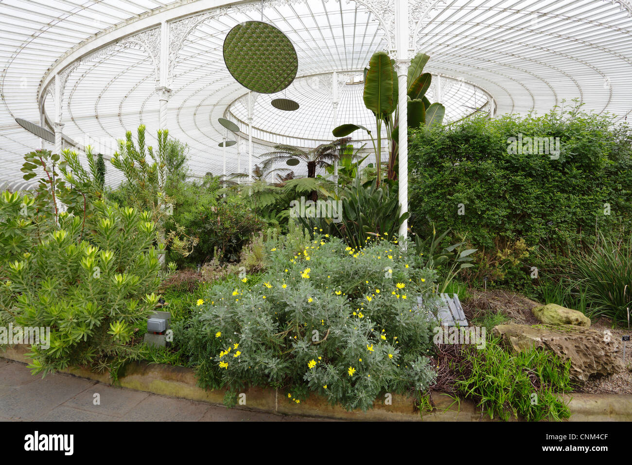 Kibble Palace serre victorienne dans les jardins botaniques de Glasgow, Écosse, Royaume-Uni Banque D'Images