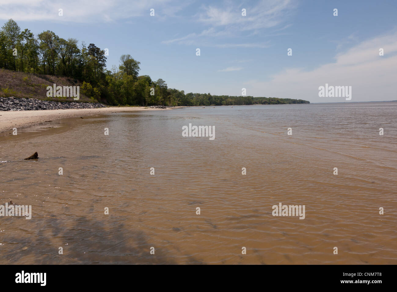 Vue de la James River à Chippokes State Park Banque D'Images