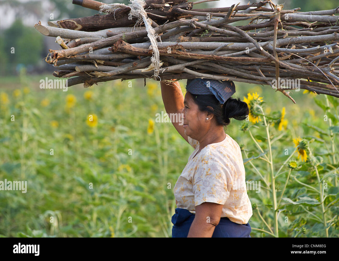 Femme birmane transporter le bois sur sa tête. Près de Mandalay, Birmanie Banque D'Images