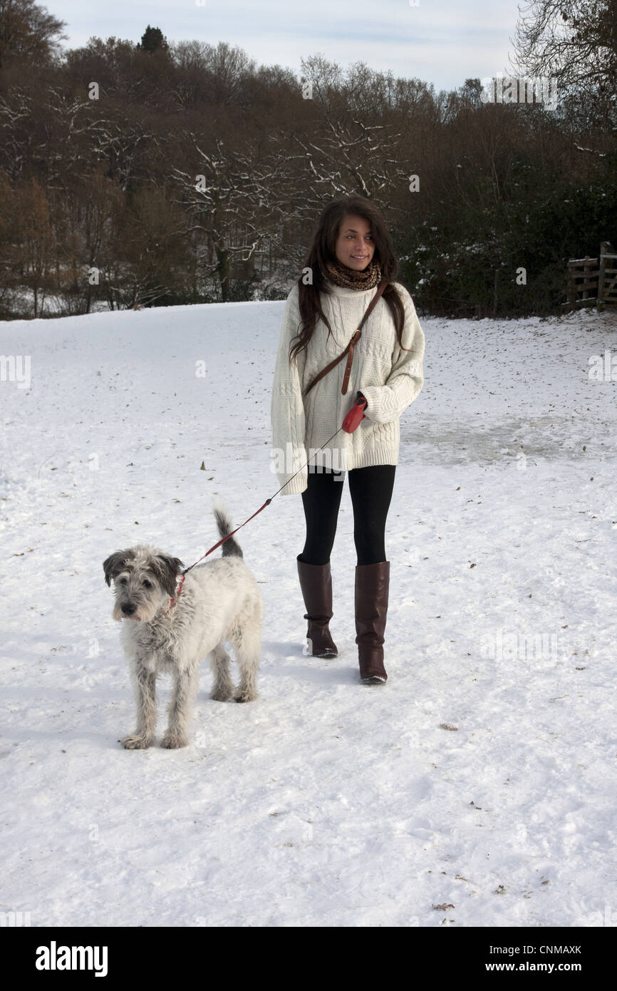Chien Chien de montagne grecque adultes personnes âgées passage câble extensible par jeune femme neige propriétaire Surrey England décembre Banque D'Images