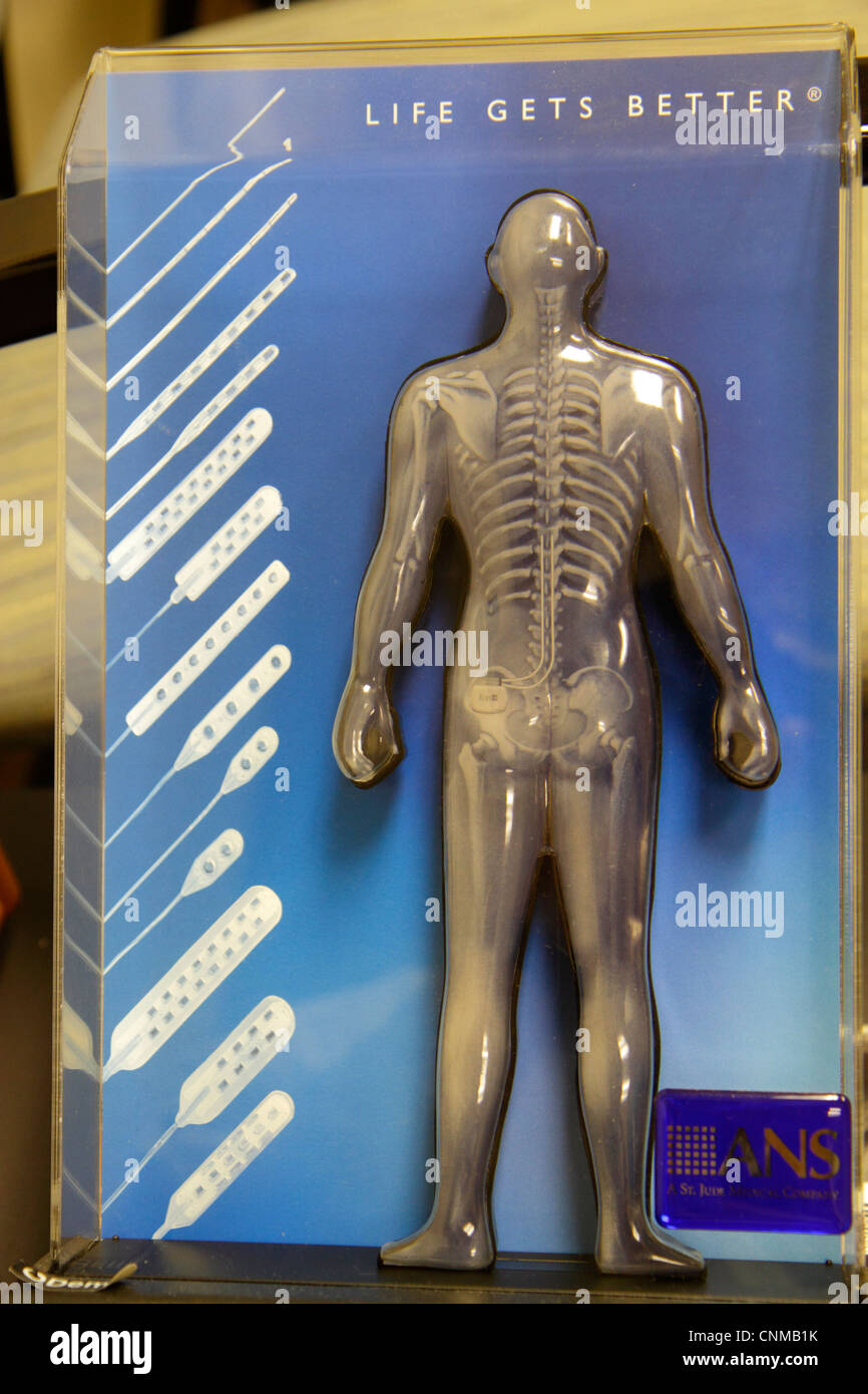 Miami Beach Florida,centre de physiothérapie,centre,salle d'attente,figure humaine,squelette,colonne vertébrale,bassin,cage thoracique,FL120331005 Banque D'Images
