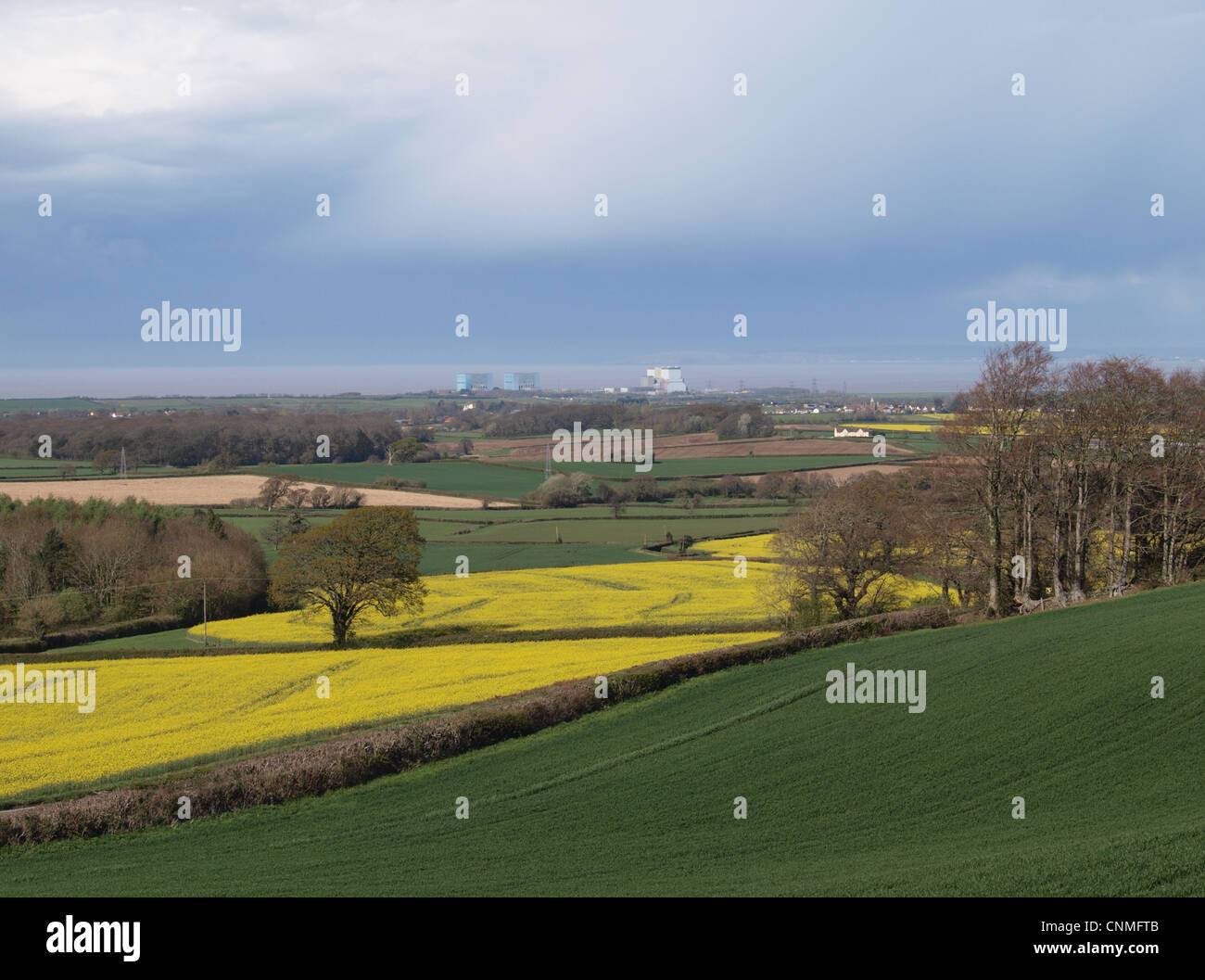 Centrale nucléaire de Hinkley Point vue à travers les terres agricoles. Le Somerset. UK Banque D'Images