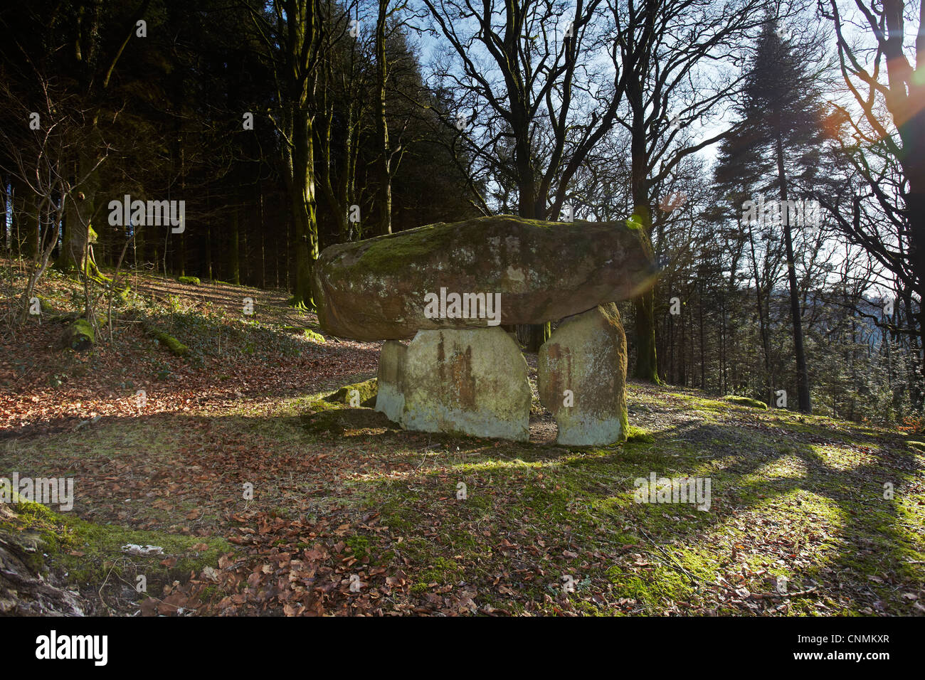 Filiast Gwal y sépulture néolithique, Carmarthenshire, West Wales, UK Banque D'Images