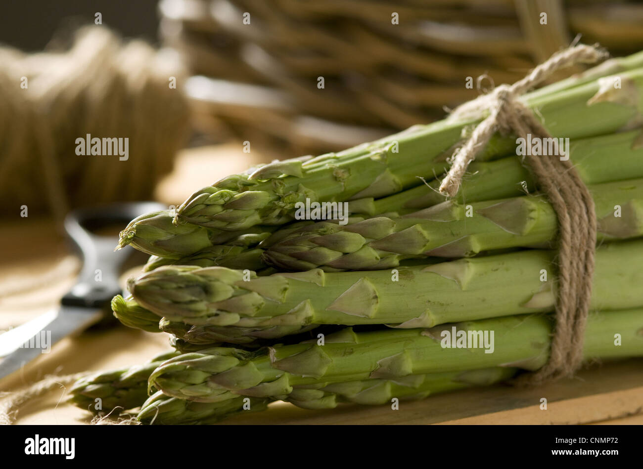 L'asperge (Asparagus officinalis) Paquet de cut spears Banque D'Images