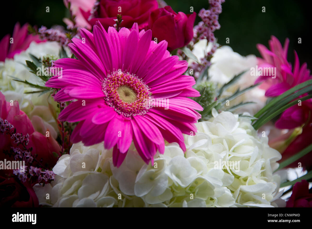 Rose, violet et blanc arrangement floral Banque D'Images