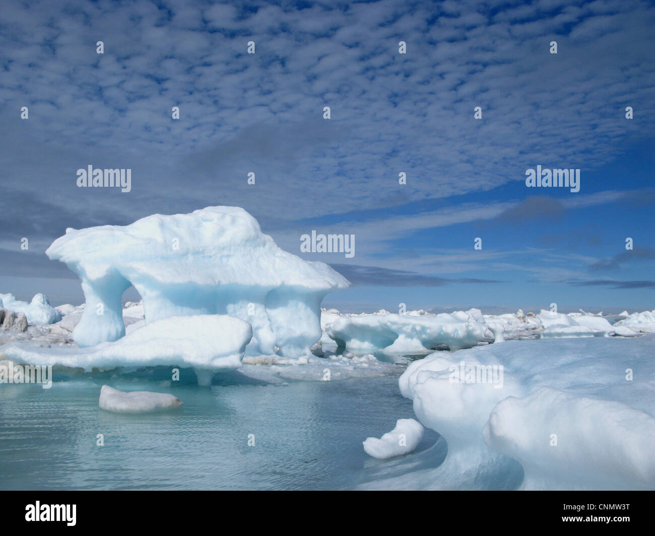 Les glaces en mer, mer de Tchoukotka, Océan Arctique, juillet Banque D'Images