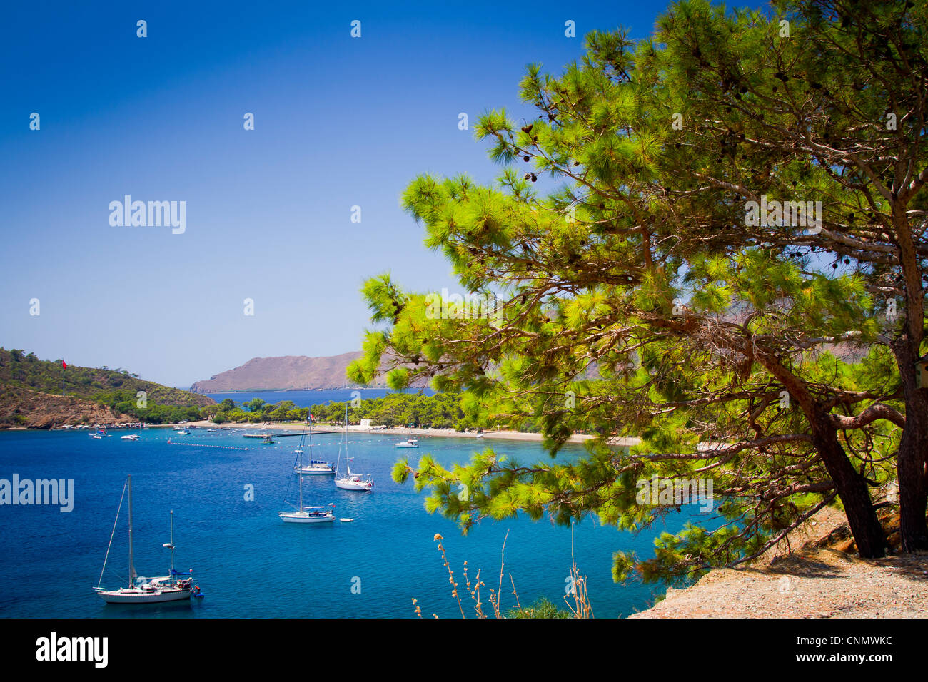Le littoral. La péninsule de Datça, province de Mugla, Anatolie, Turquie. Banque D'Images