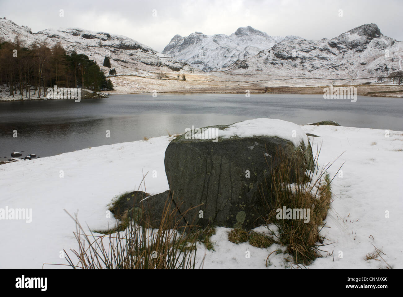 Photographie de neige de Blea Tarn et le Langdale Pikes dans le Lake District Banque D'Images