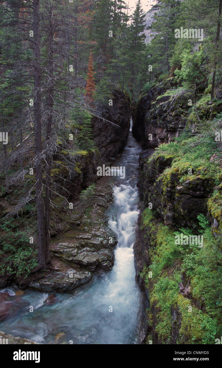 Montana Sunrift Gorge, Glacier National Park, Montana, USA Photo Stock -  Alamy