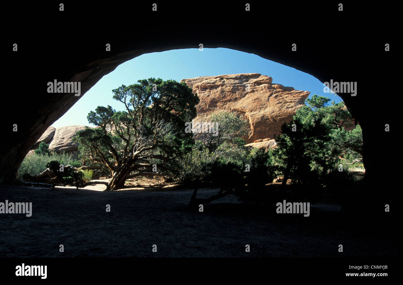 L'Utah à la recherche hors de Navajo Arch de Juniper Tree, Arches National Park, Utah, USA. Banque D'Images