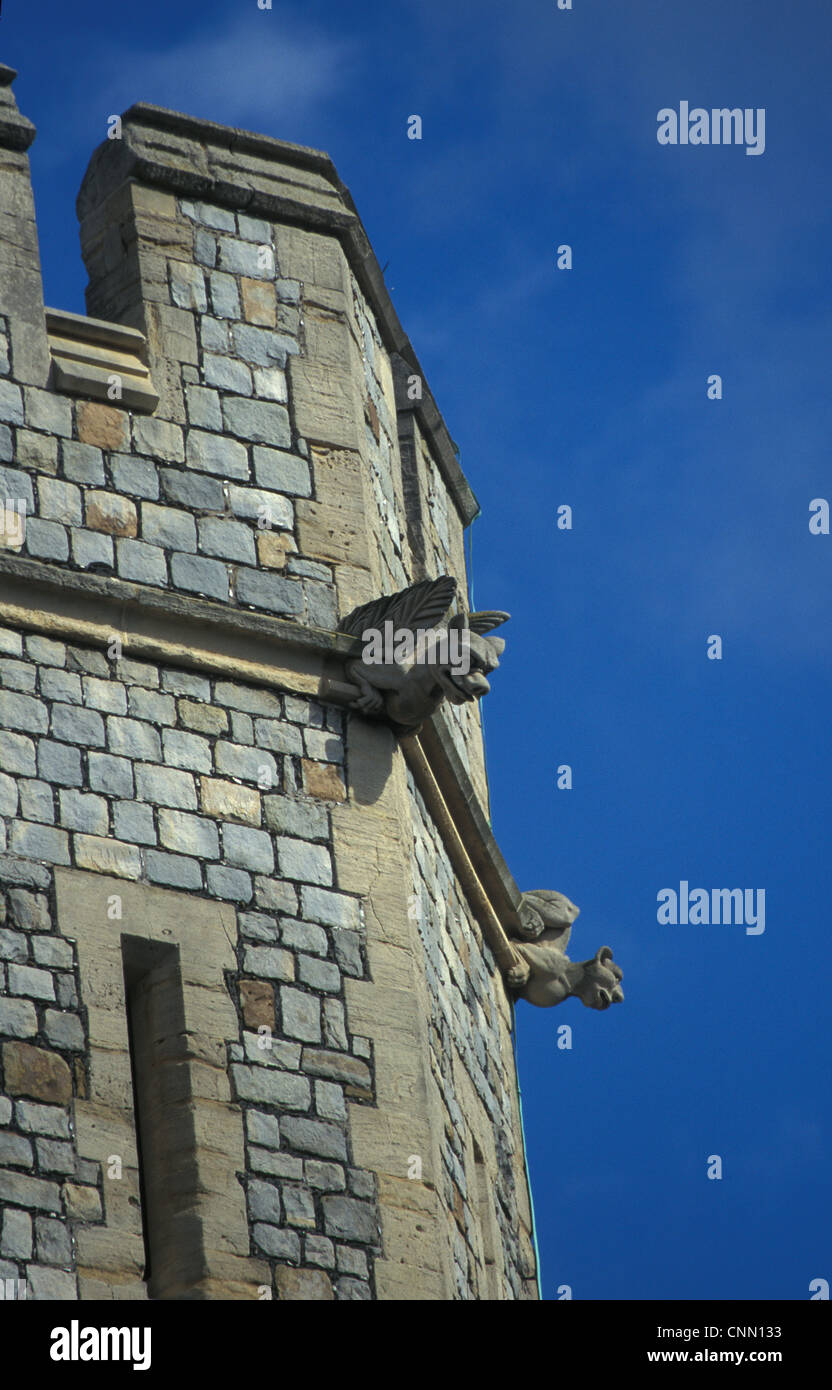 La Grande-Bretagne Gargoyle, château de Windsor Banque D'Images