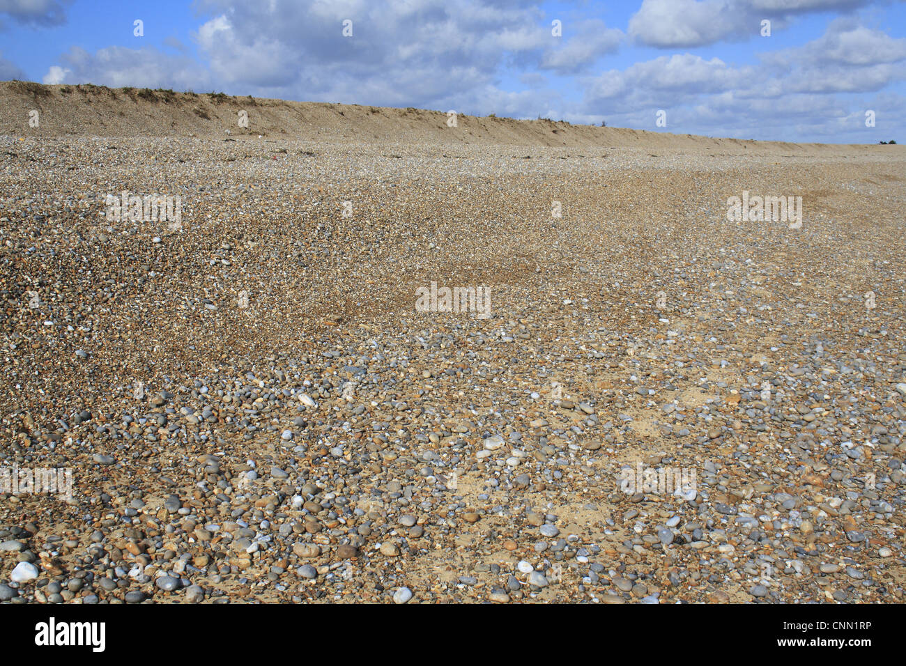 Plage de galets avec habitat tempête relique Beach Ridge, Le Havre, Aldeburgh, Suffolk, Angleterre, février Banque D'Images