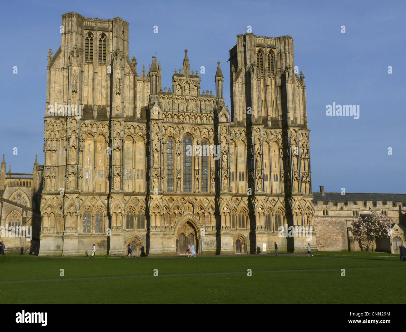 West front elevation of cathédrale médiévale, la cathédrale de Wells, Wells, Somerset, Angleterre, avril Banque D'Images