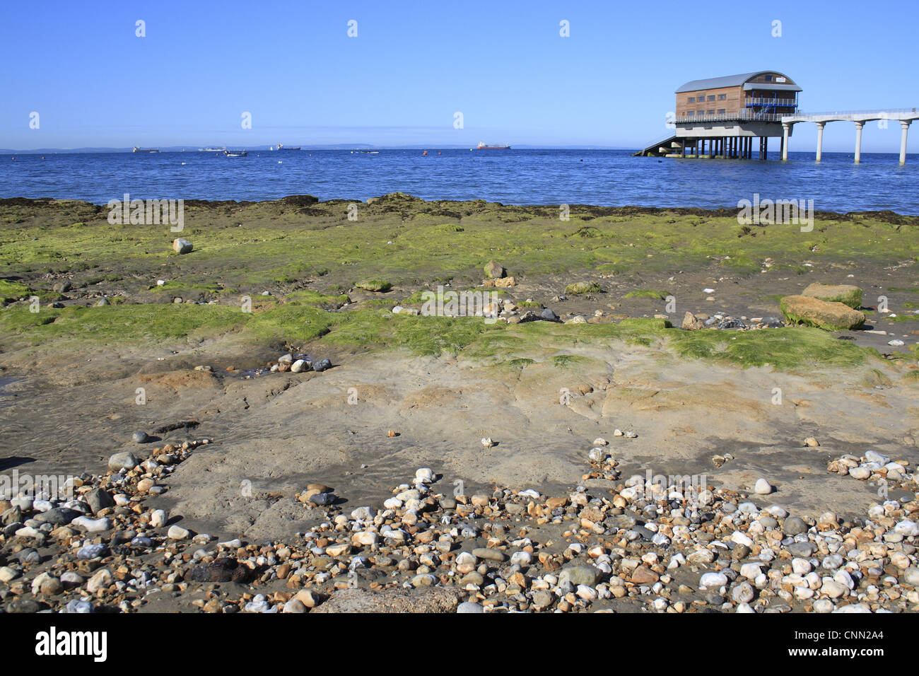 Piton rocheux exposés sur la plage à marée basse Station de sauvetage sauvetage boathouse Bembridge Bembridge Isle Wight Angleterre juin Banque D'Images