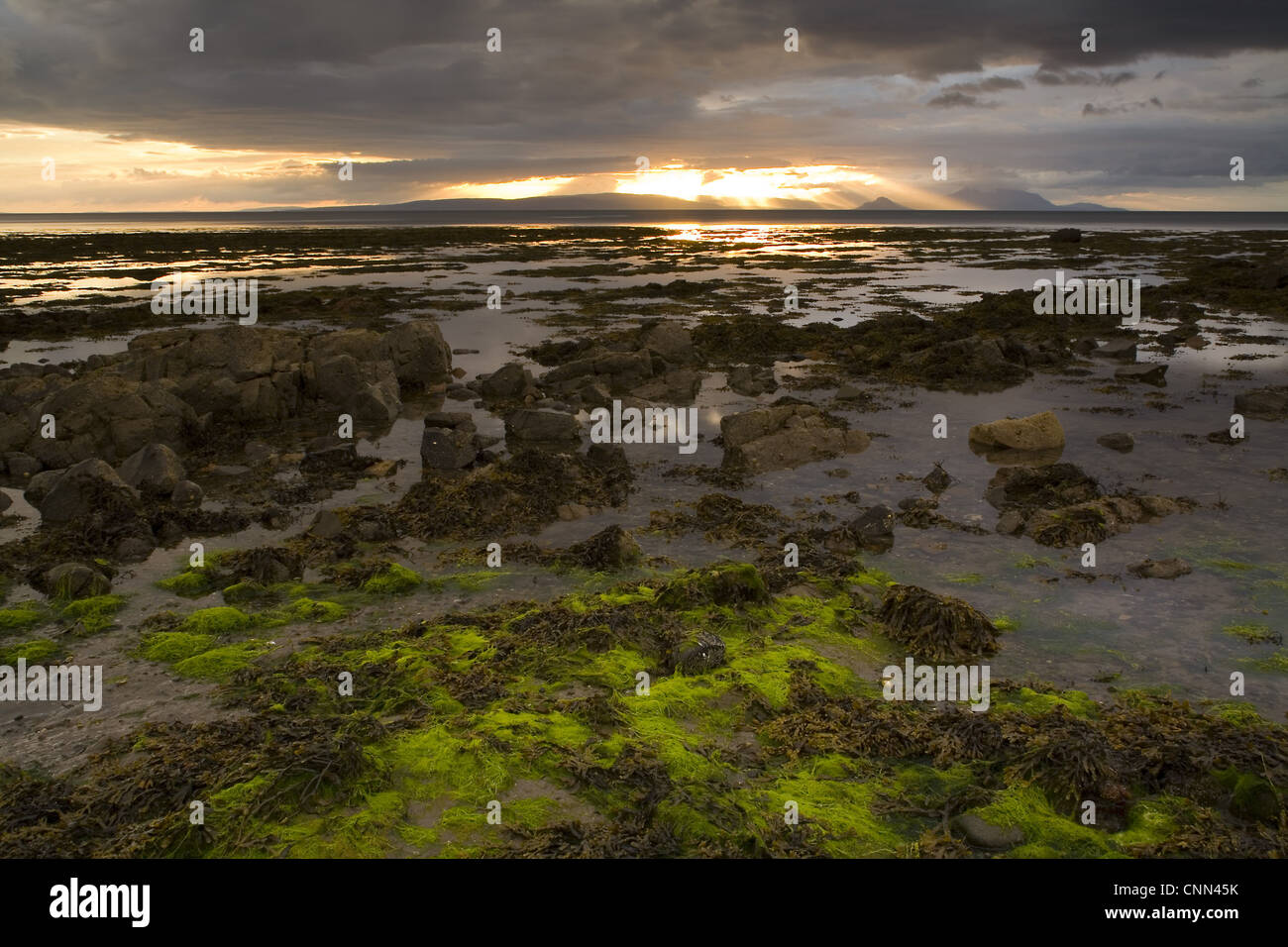 Coucher de soleil sur la côte rocheuse à marée basse, avec l'île d'Arran et Holy Island dans la distance, la baie de Culzean, South Ayrshire, Ecosse, juin Banque D'Images
