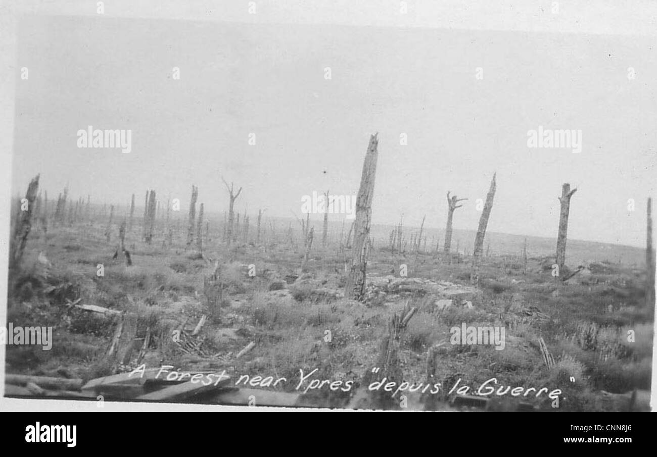 La Première Guerre mondiale, la photographie et les cartes postales d'archives Banque D'Images