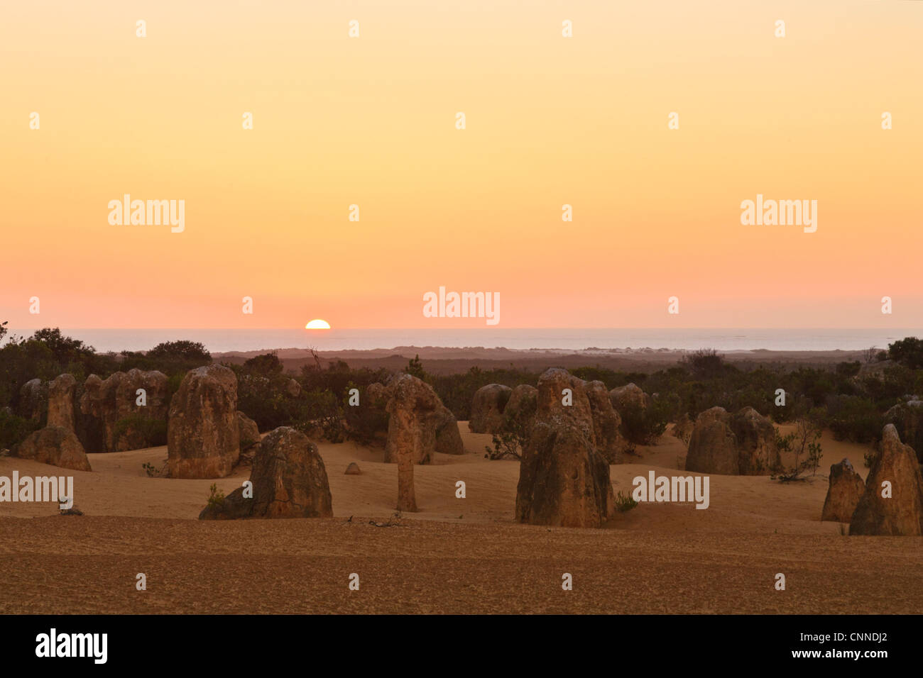 Les Pinnacles, une région de formations calcaires érodés dans le Parc National de Nambung, au nord de Perth en Australie occidentale. Banque D'Images