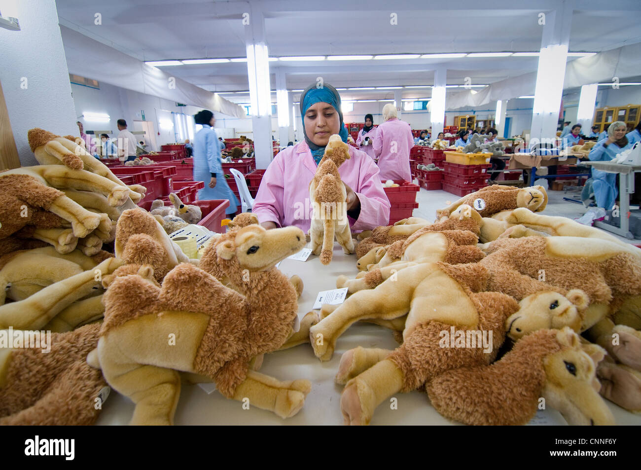 La Tunisie, Sidi Bouzid : 1 000 femmes travaillent dans l'usine de  production allemande Steiff jouets pour animaux pour l'Allemagne et  d'autres pays Photo Stock - Alamy
