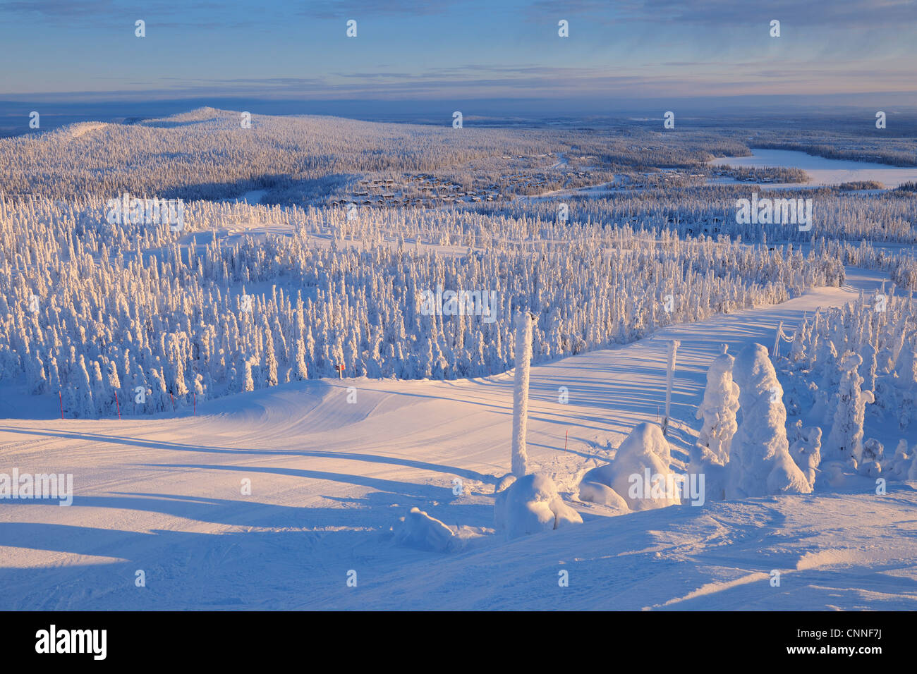 Paysage couvert de neige, Rukatunturi, Kuusamo, Ostrobotnie du Nord, en Finlande Banque D'Images