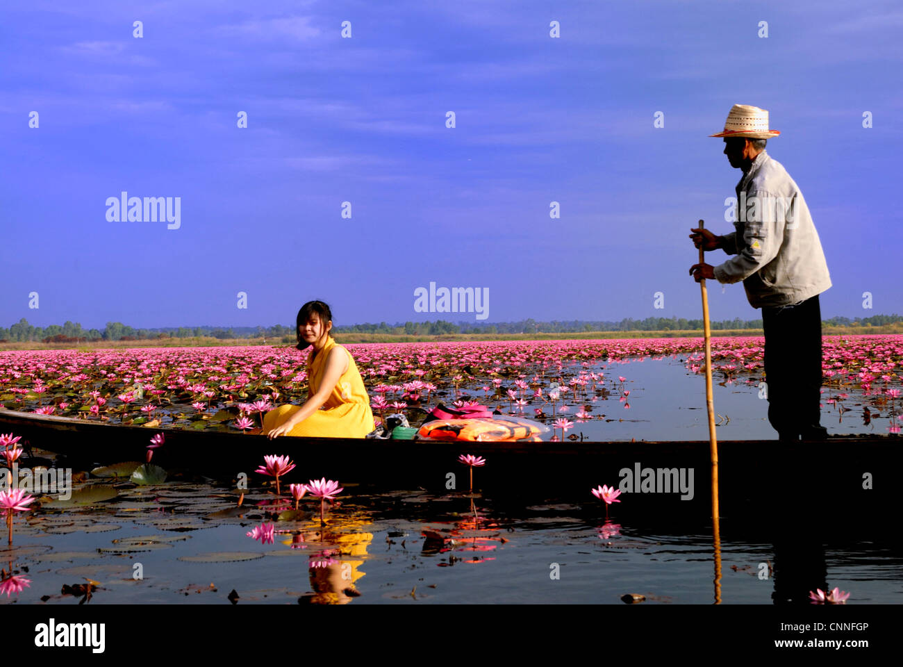 Cueillette de l'eau tourisme Thai Lotus lillies à Udonthani le 11/01/2012 dans le nord-est de la Thaïlande Udonthani Banque D'Images