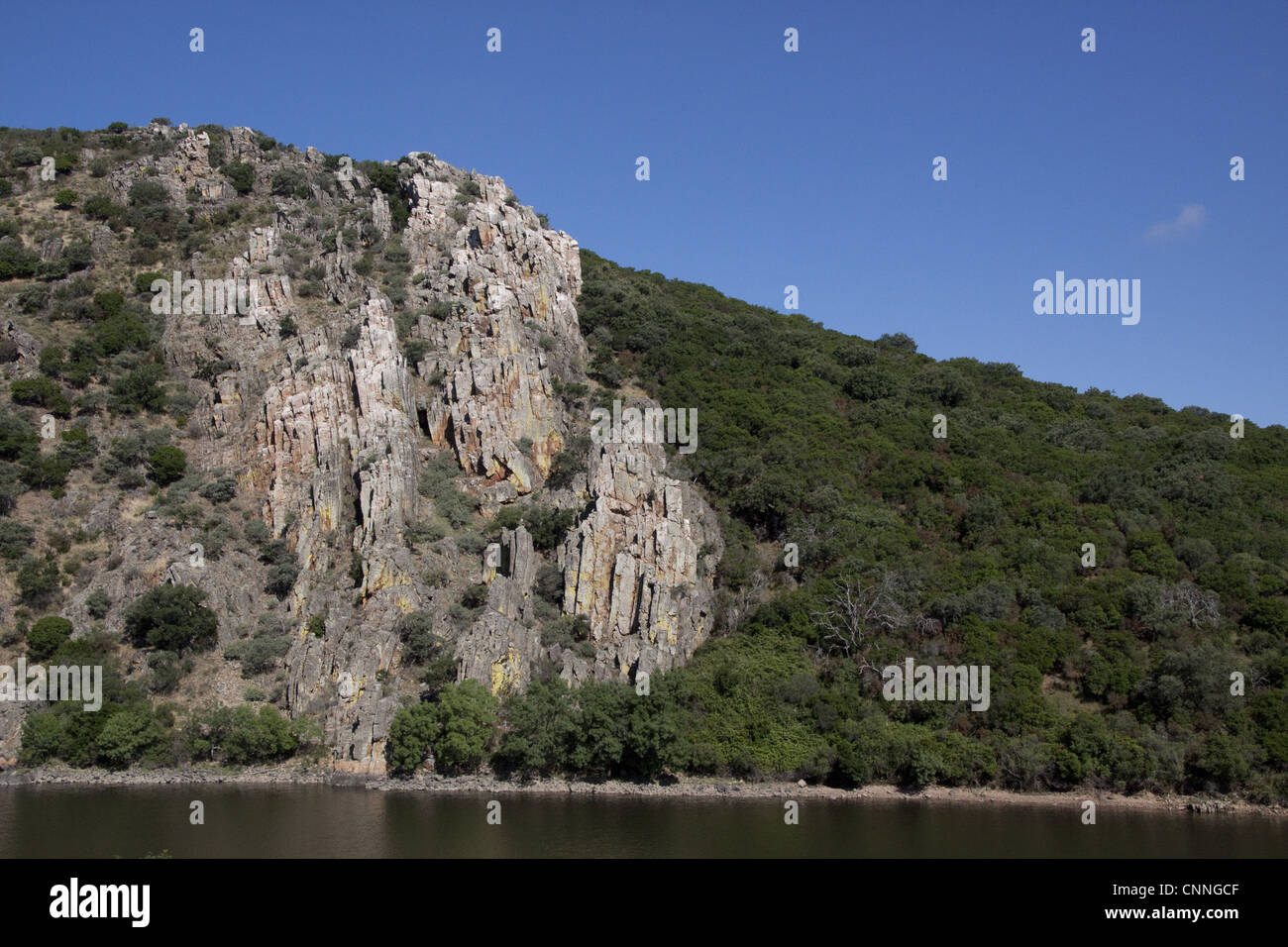 Un défaut de rochers de quartz par certains qui se jette dans la rivière Tiétar Tage à Parc National Monfrague Estrémadure Espagne. Banque D'Images