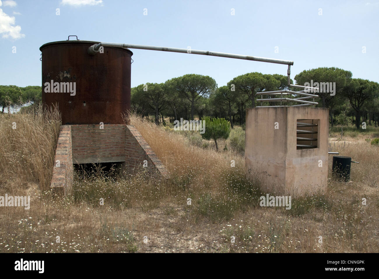 Une distillation à l'extraction de l'huile d'Eucalyptus, les feuilles ont été placés dans le chaudron, chauffé et vaporisé Banque D'Images