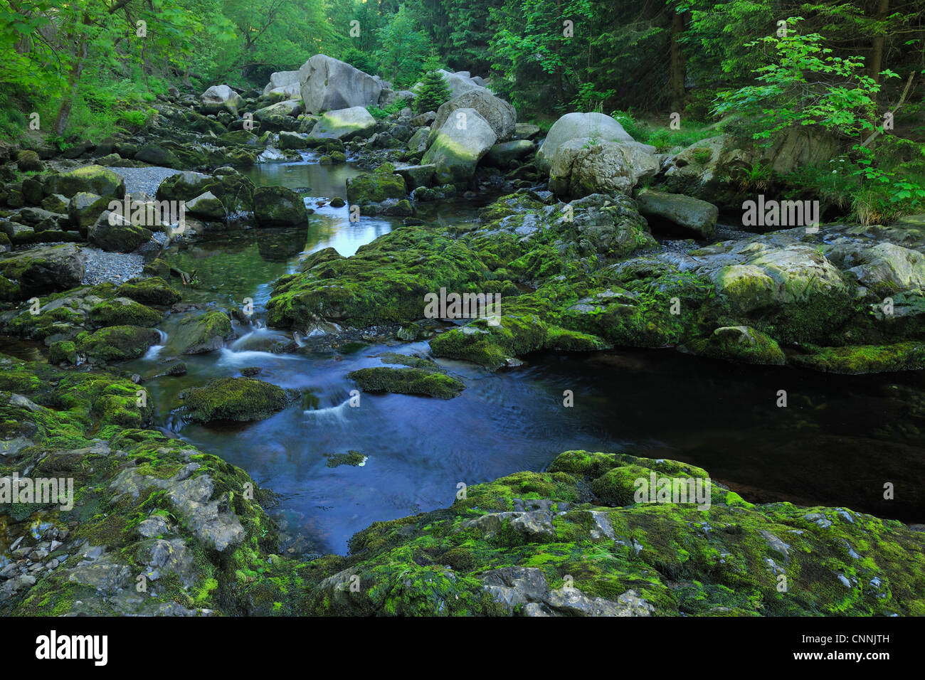 Ruisseau, Parc National de Harz, Okertal, Oker, Basse-Saxe, Allemagne Banque D'Images