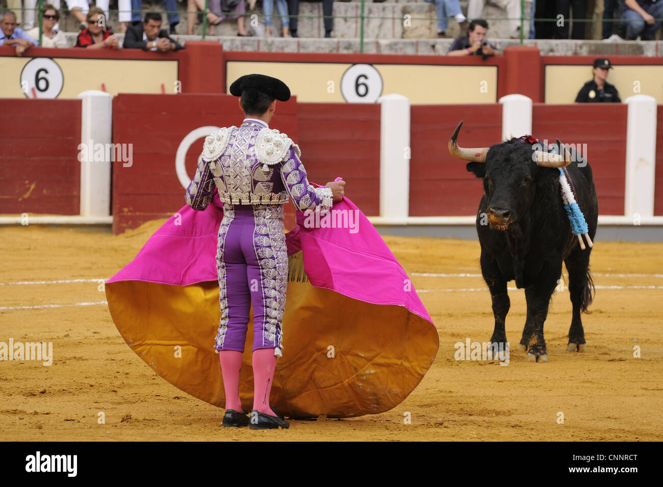 La corrida Matador bull fighting cape banderilles empalé dans 'bullring Tercio de banderilles' stade corrida Espagne Septembre Banque D'Images