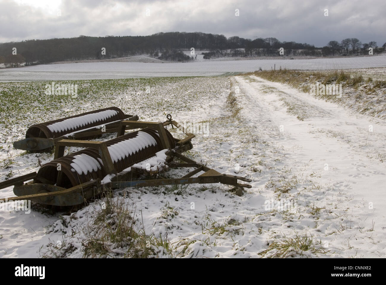 Rouleaux Cambridge dans la neige couverts champ arable, près de Aldbury, Chilterns, Hertfordshire, Angleterre, novembre Banque D'Images