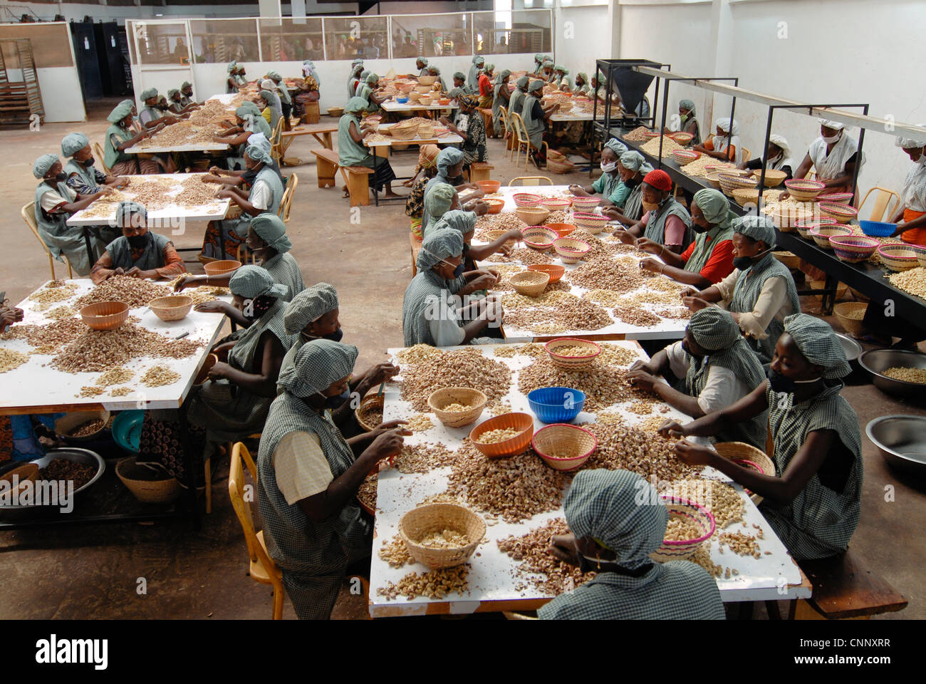 Burkina Faso Banfora Usine Sotria B Sarl La Transformation Et La Production De Noix De 