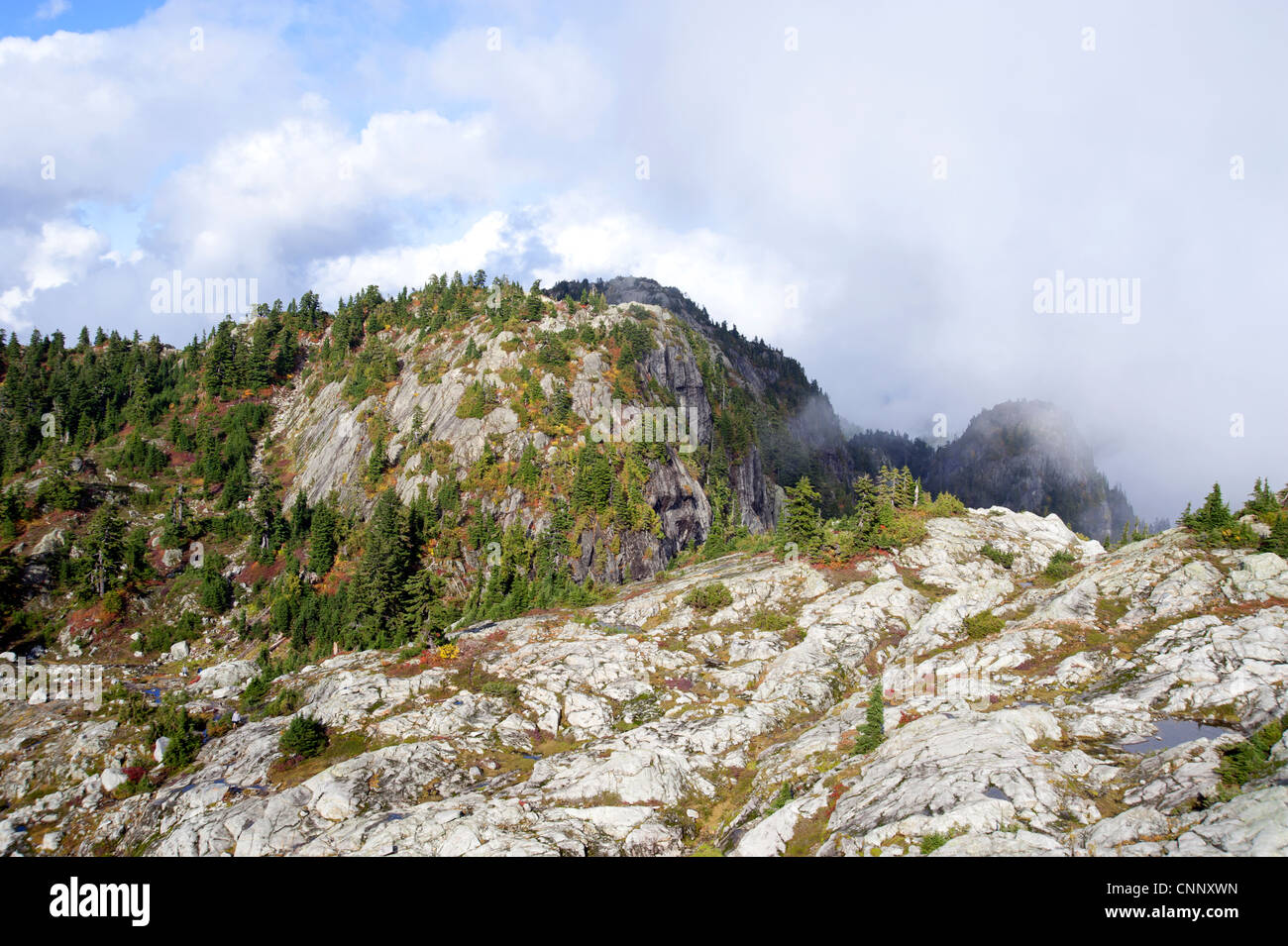 Paysage de montagne dans la région de Mt. Seymour Provincial Park, Vancouver, British Columbia, Canada Banque D'Images