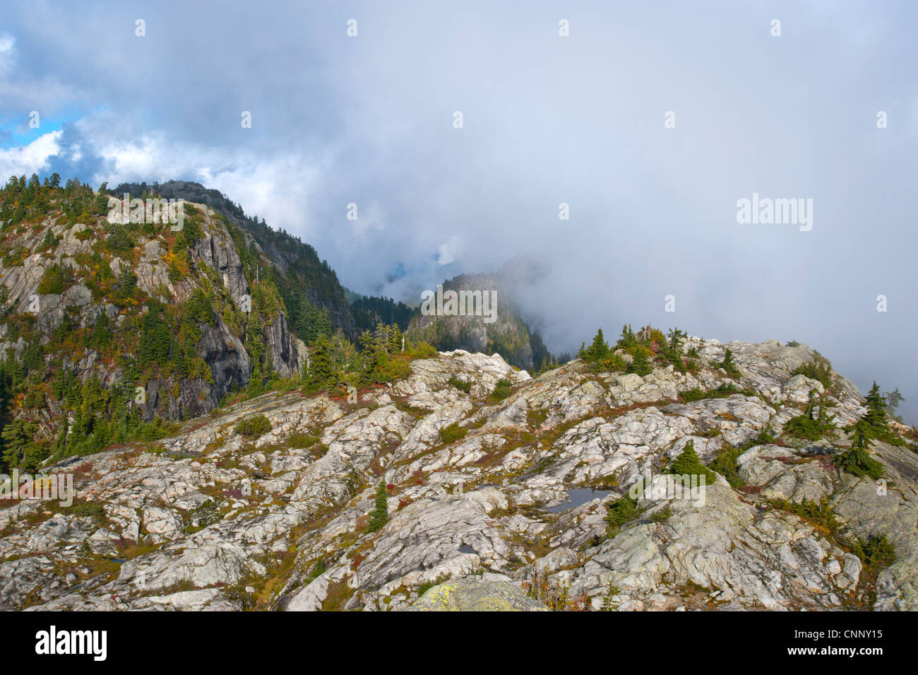 Paysage de montagne dans le parc provincial du mont Seymour, près de Vancouver, Colombie-Britannique, Canada Banque D'Images