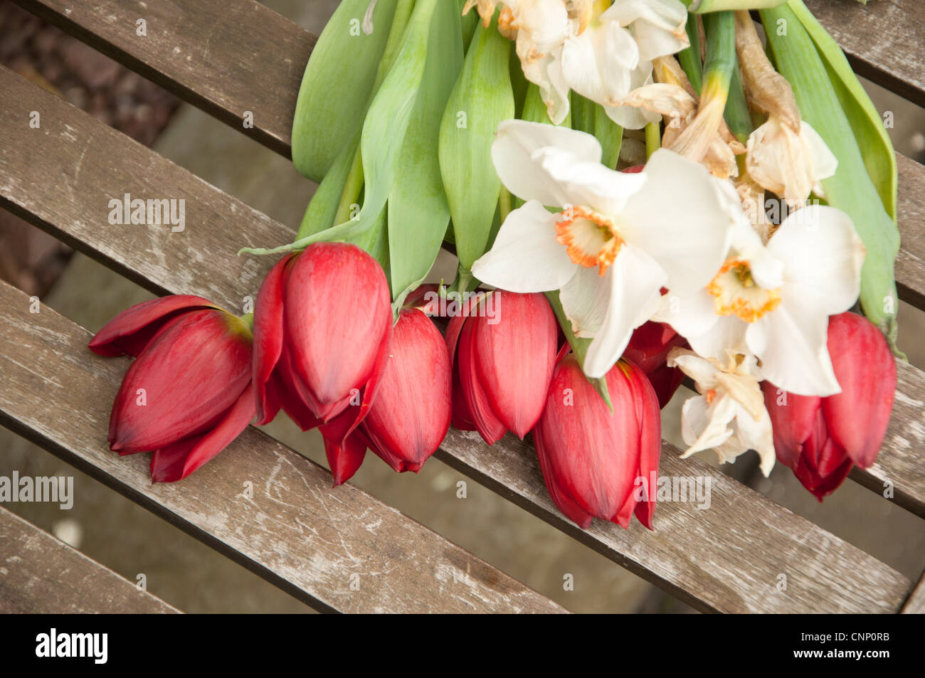 Un bouquet de fleurs fanées sur un banc Banque D'Images