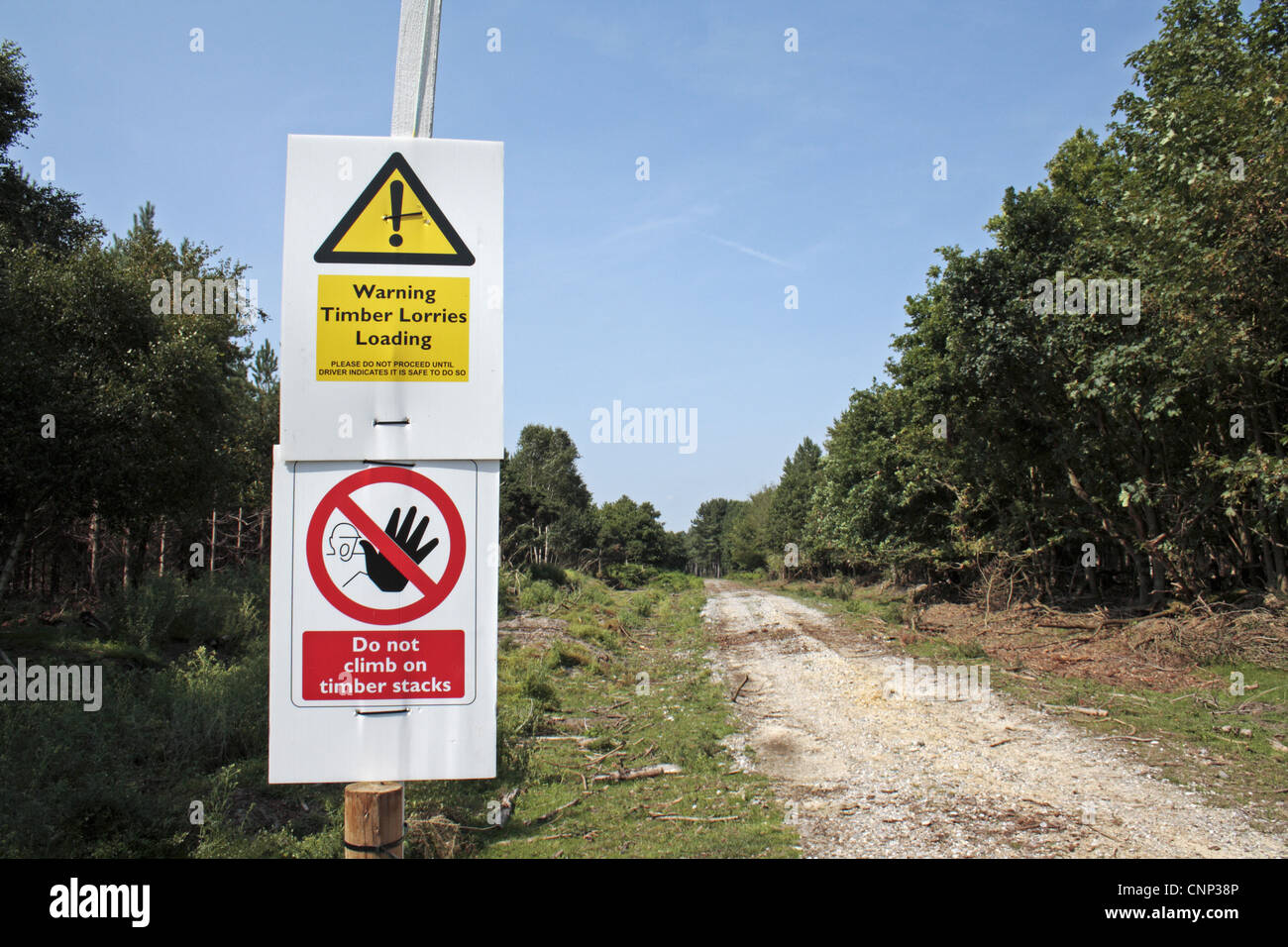 Chargement des camions de bois d' "ne pas monter sur des piles de bois à côté de la voie de signalisation en forêt Forêt Dunwich juillet Angleterre Suffolk Banque D'Images