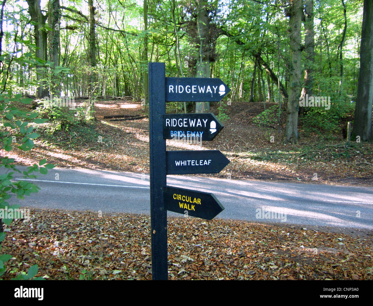 Ridgeway' 'Whiteleaf' 'Walk' circulaire panneau panneaux bois Giles Whiteleaf Hill Angleterre Buckinghamshire Chilterns Réserve Naturelle Banque D'Images