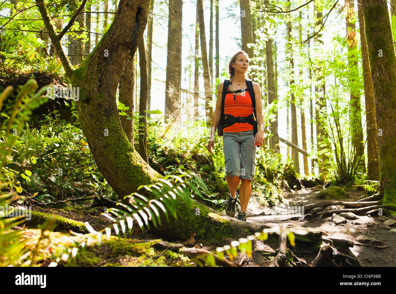 Une femme sur un sentier de randonnée dans une forêt, si peu de Trail, Washington, USA. Banque D'Images