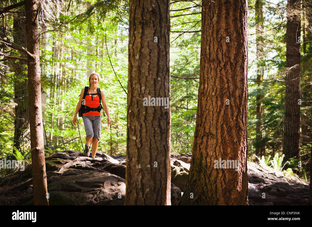 Une femme sur un sentier de randonnée dans une forêt, si peu de Trail, Washington, USA. Banque D'Images